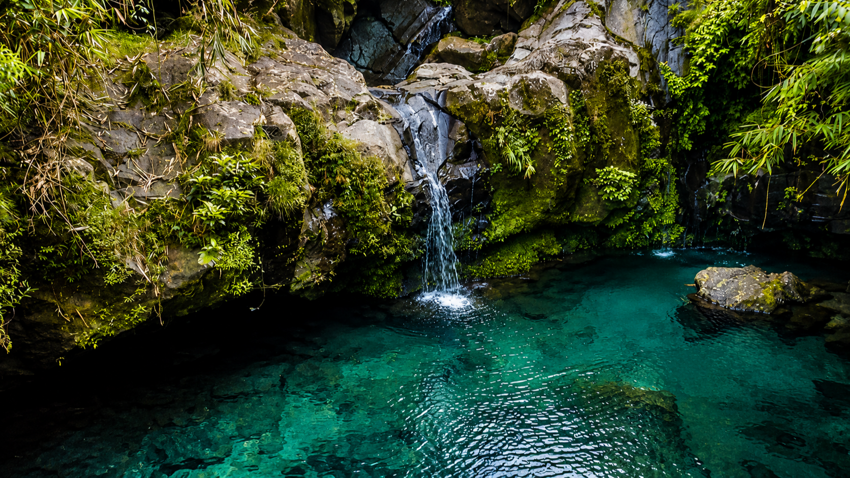 Telaga Sunyi Purwokerto