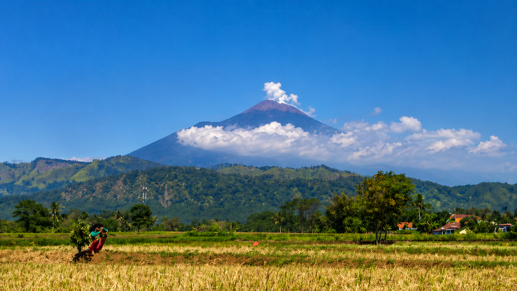 Pemandangan Gunung Slamet